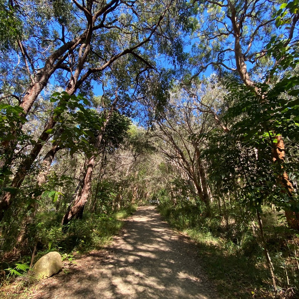 Meet your Posher, Hope